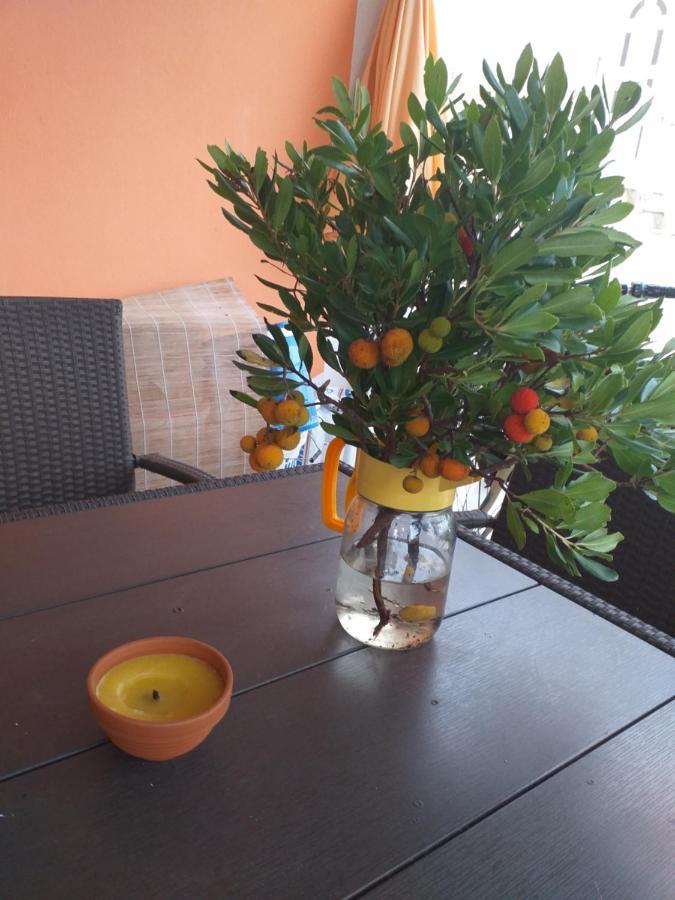 Apartmani Marijanovic Vir Exterior photo